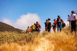 bioagaete-caminata-lugarejos-barranco-hondo-0133