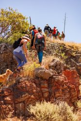 bioagaete-caminata-lugarejos-barranco-hondo-0141