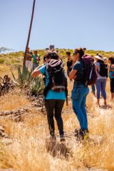 bioagaete-caminata-lugarejos-barranco-hondo-0144