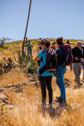 bioagaete-caminata-lugarejos-barranco-hondo-0145