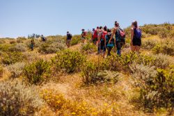 bioagaete-caminata-lugarejos-barranco-hondo-0149