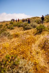 bioagaete-caminata-lugarejos-barranco-hondo-0150