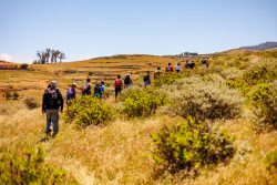 bioagaete-caminata-lugarejos-barranco-hondo-0151