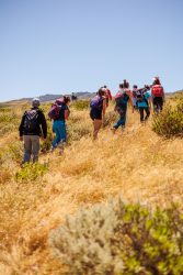 bioagaete-caminata-lugarejos-barranco-hondo-0152