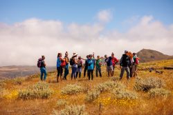 bioagaete-caminata-lugarejos-barranco-hondo-0153