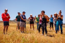 bioagaete-caminata-lugarejos-barranco-hondo-0155