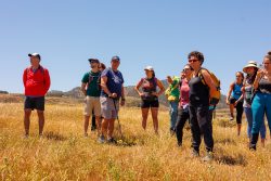 bioagaete-caminata-lugarejos-barranco-hondo-0156