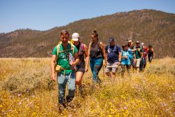 bioagaete-caminata-lugarejos-barranco-hondo-0161