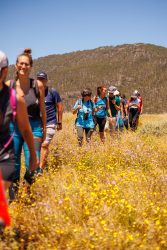 bioagaete-caminata-lugarejos-barranco-hondo-0163