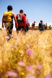 bioagaete-caminata-lugarejos-barranco-hondo-0165