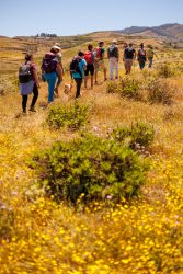 bioagaete-caminata-lugarejos-barranco-hondo-0166