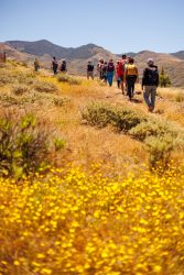 bioagaete-caminata-lugarejos-barranco-hondo-0168
