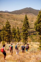 bioagaete-caminata-lugarejos-barranco-hondo-0169