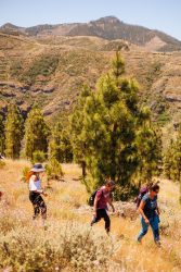 bioagaete-caminata-lugarejos-barranco-hondo-0170