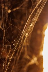 bioagaete-caminata-lugarejos-barranco-hondo-0172