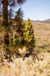 bioagaete-caminata-lugarejos-barranco-hondo-0174