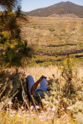 bioagaete-caminata-lugarejos-barranco-hondo-0177