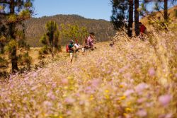 bioagaete-caminata-lugarejos-barranco-hondo-0178