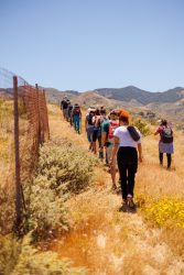 bioagaete-caminata-lugarejos-barranco-hondo-0179