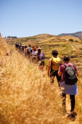 bioagaete-caminata-lugarejos-barranco-hondo-0181