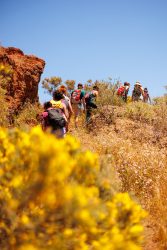 bioagaete-caminata-lugarejos-barranco-hondo-0182