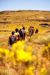 bioagaete-caminata-lugarejos-barranco-hondo-0183