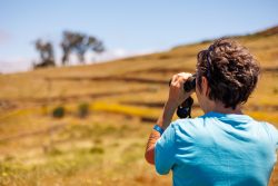 bioagaete-caminata-lugarejos-barranco-hondo-0184