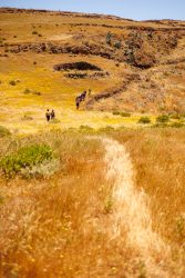 bioagaete-caminata-lugarejos-barranco-hondo-0185