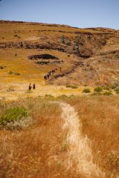 bioagaete-caminata-lugarejos-barranco-hondo-0186