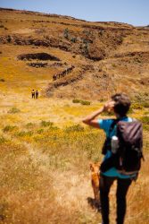 bioagaete-caminata-lugarejos-barranco-hondo-0187