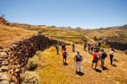 bioagaete-caminata-lugarejos-barranco-hondo-0190