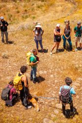 bioagaete-caminata-lugarejos-barranco-hondo-0194