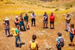 bioagaete-caminata-lugarejos-barranco-hondo-0195