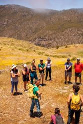 bioagaete-caminata-lugarejos-barranco-hondo-0196