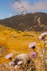 bioagaete-caminata-lugarejos-barranco-hondo-0199