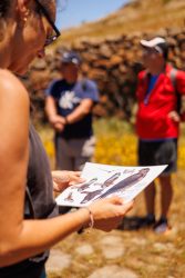 bioagaete-caminata-lugarejos-barranco-hondo-0201