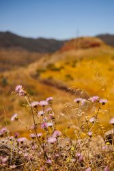 bioagaete-caminata-lugarejos-barranco-hondo-0202