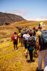 bioagaete-caminata-lugarejos-barranco-hondo-0205