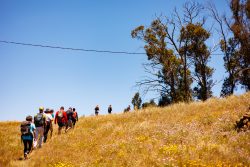 bioagaete-caminata-lugarejos-barranco-hondo-0207