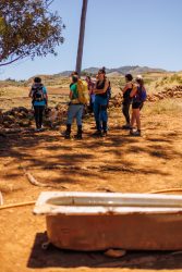 bioagaete-caminata-lugarejos-barranco-hondo-0208