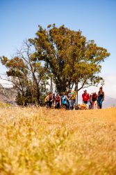 bioagaete-caminata-lugarejos-barranco-hondo-0209