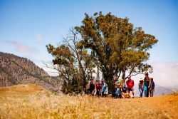 bioagaete-caminata-lugarejos-barranco-hondo-0210