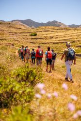 bioagaete-caminata-lugarejos-barranco-hondo-0213