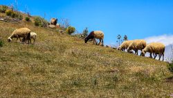 bioagaete-caminata-lugarejos-barranco-hondo-0214
