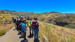 bioagaete-caminata-lugarejos-barranco-hondo-0215