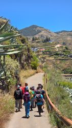 bioagaete-caminata-lugarejos-barranco-hondo-0217