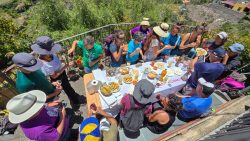 bioagaete-caminata-lugarejos-barranco-hondo-0219