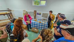 bioagaete-caminata-lugarejos-barranco-hondo-0230