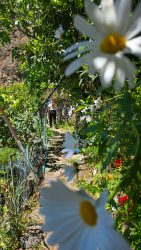 bioagaete-caminata-lugarejos-barranco-hondo-0232