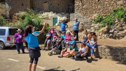 bioagaete-caminata-lugarejos-barranco-hondo-0239